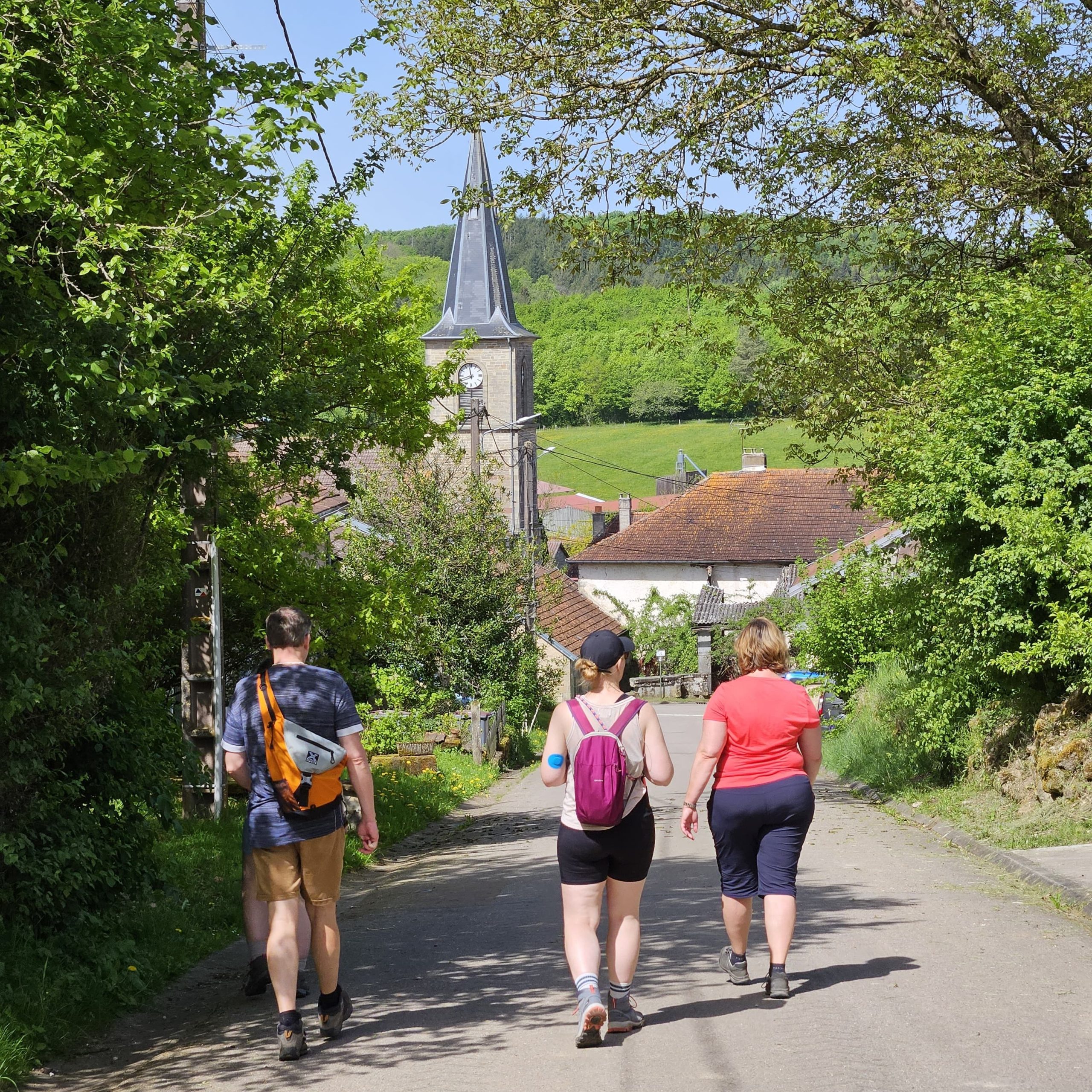 wandelen vogezen arrangement