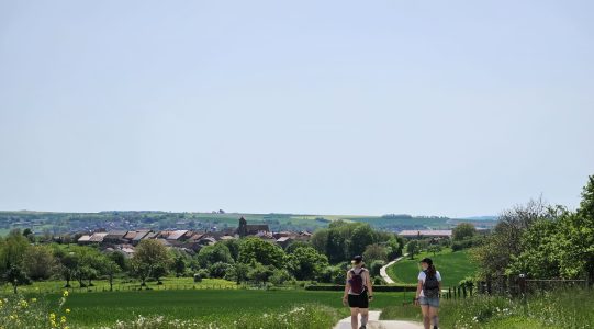 Wandelweekend groot succes!