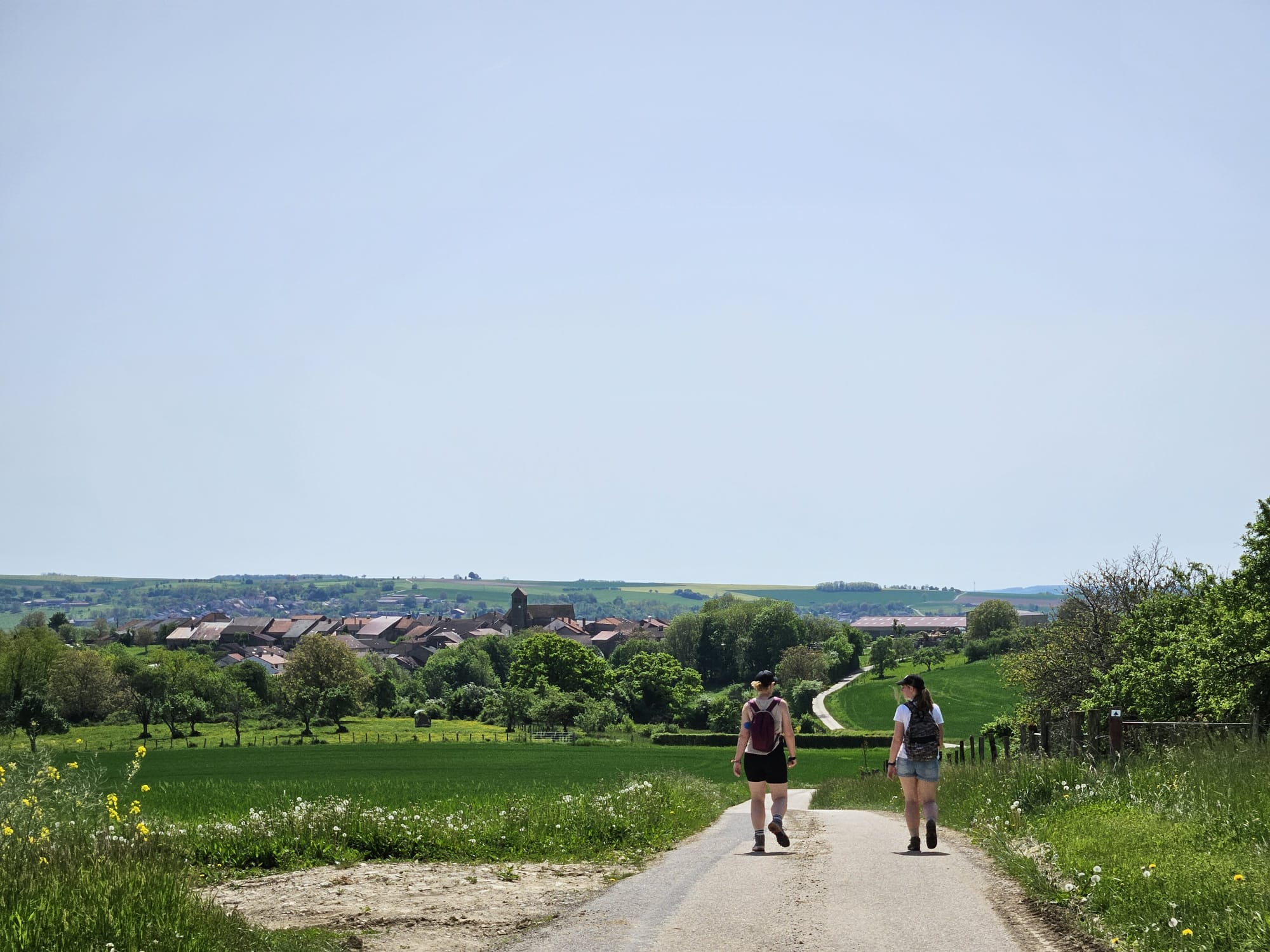 Wandelweekend groot succes!
