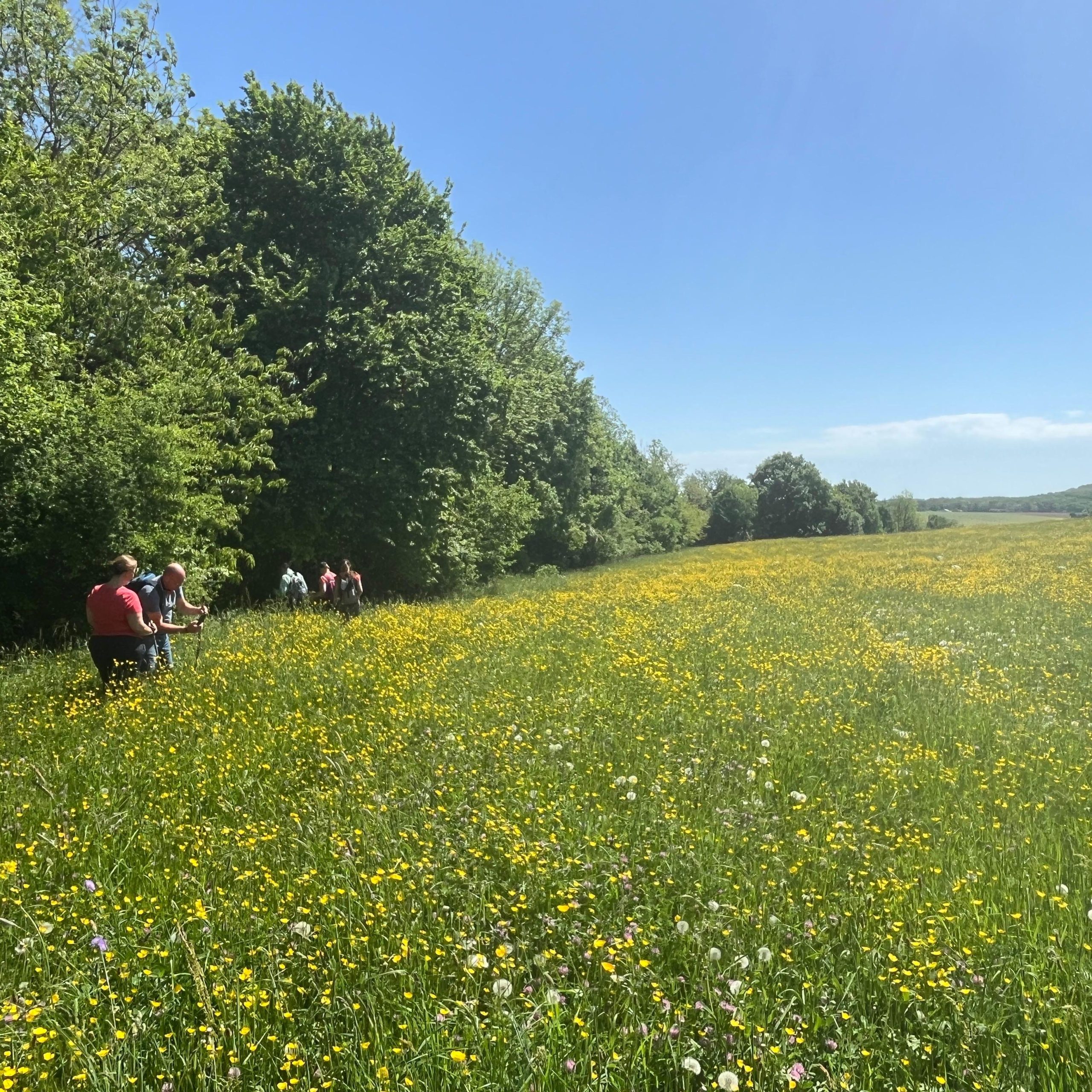 Wandelweekend frankrijk